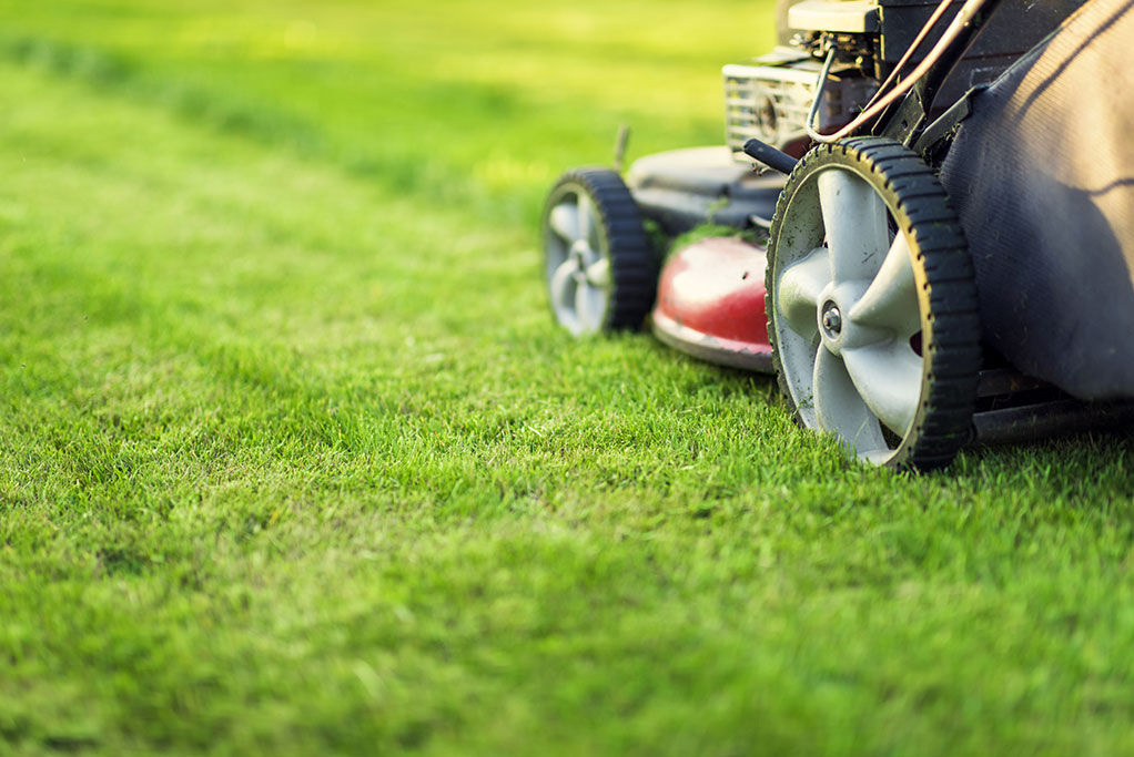 Lawn Mowing