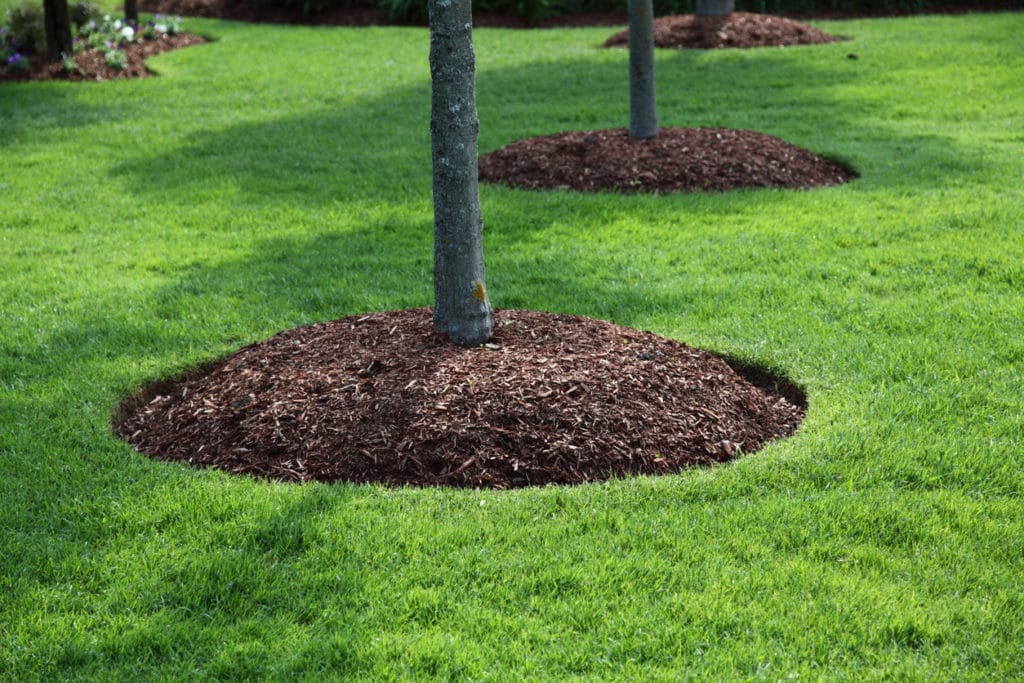 Mulching Installation