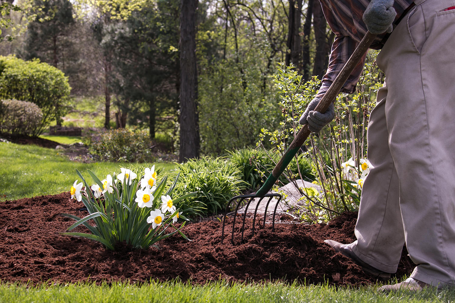 Spring Clean Up